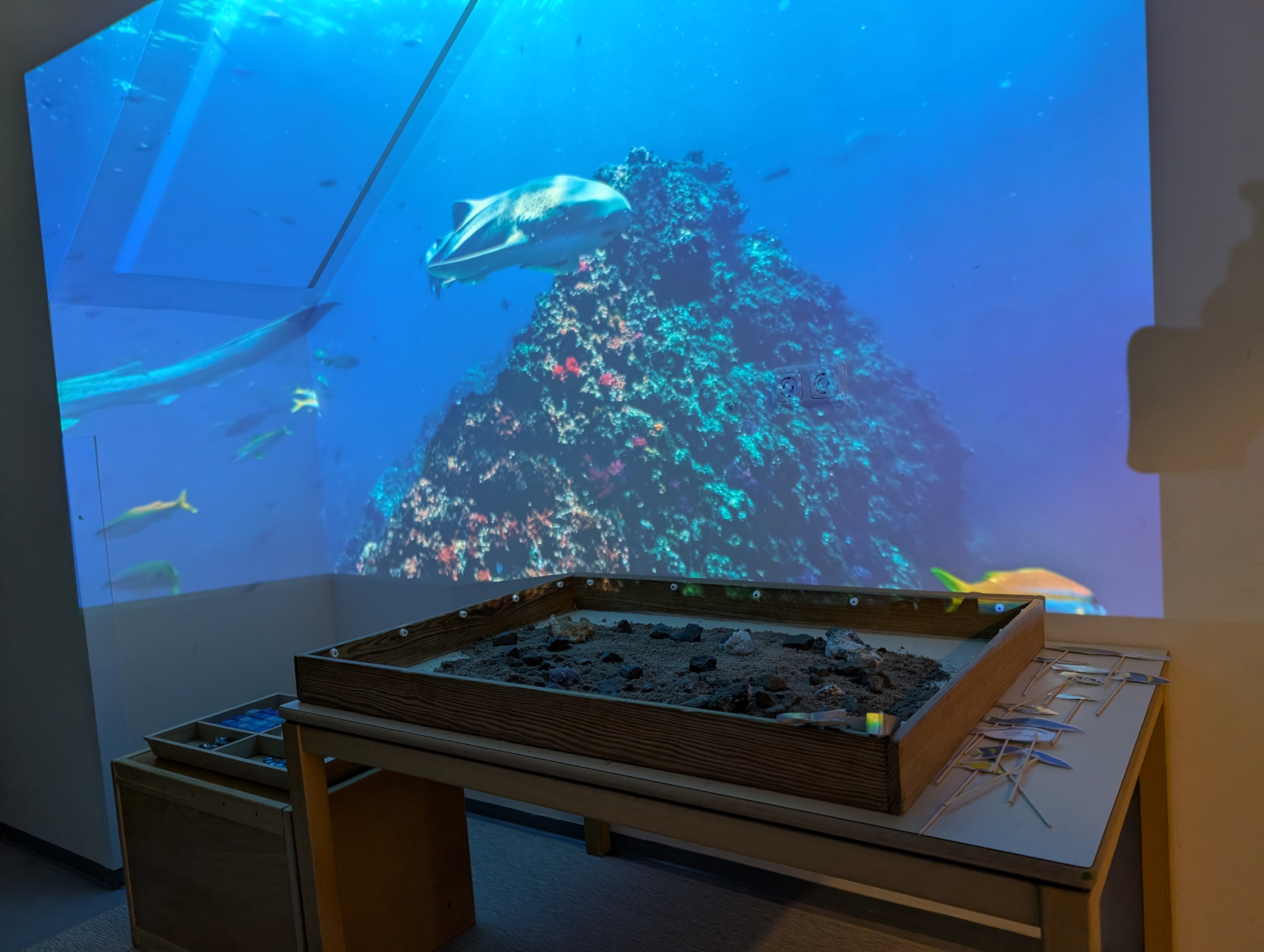 Comida Aquarium