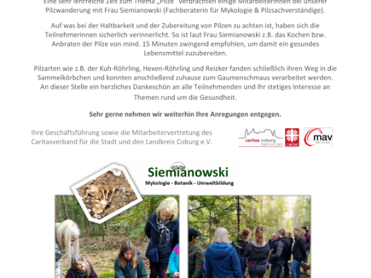 Pilzwanderung